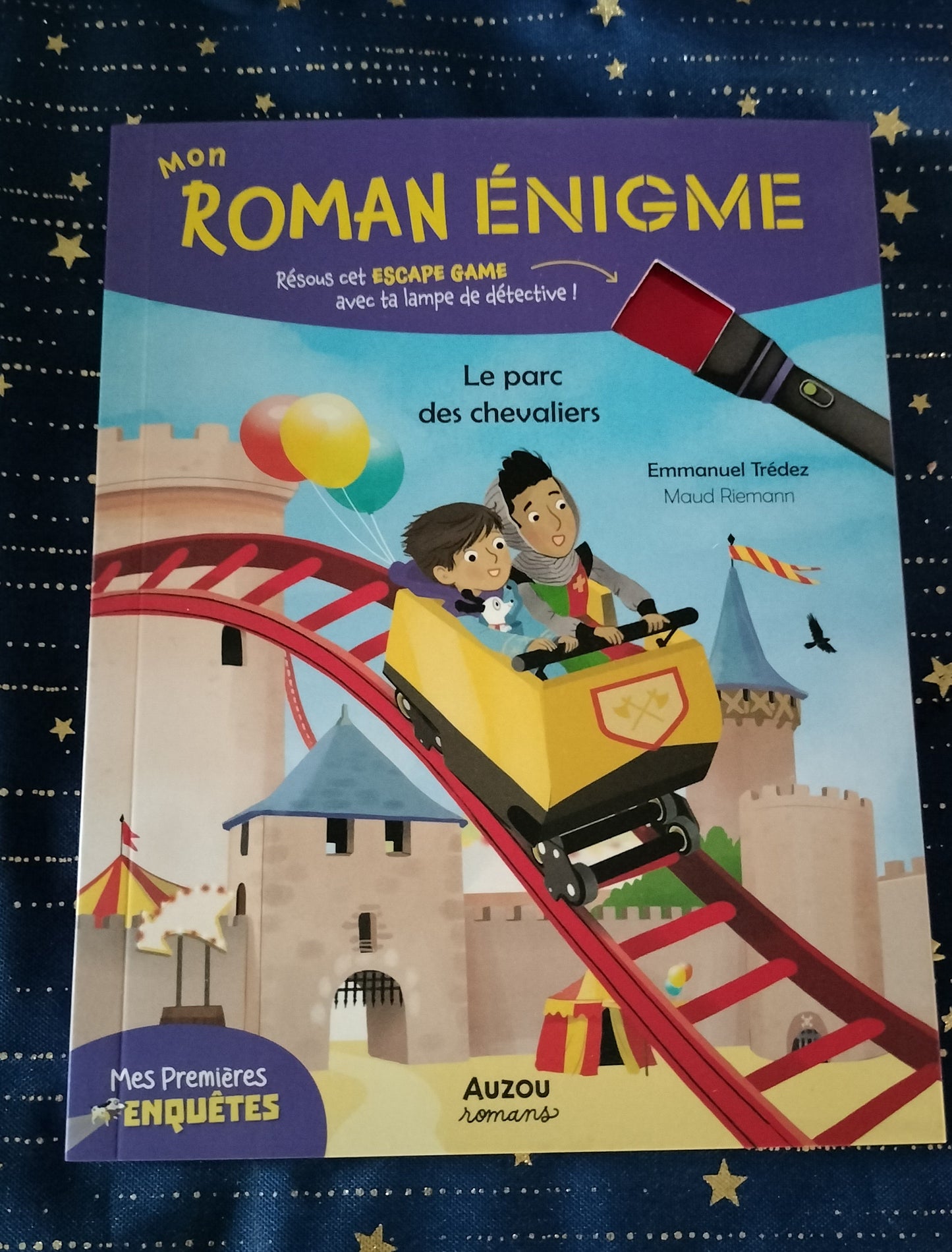 Mon roman énigme : Le parc des chevaliers