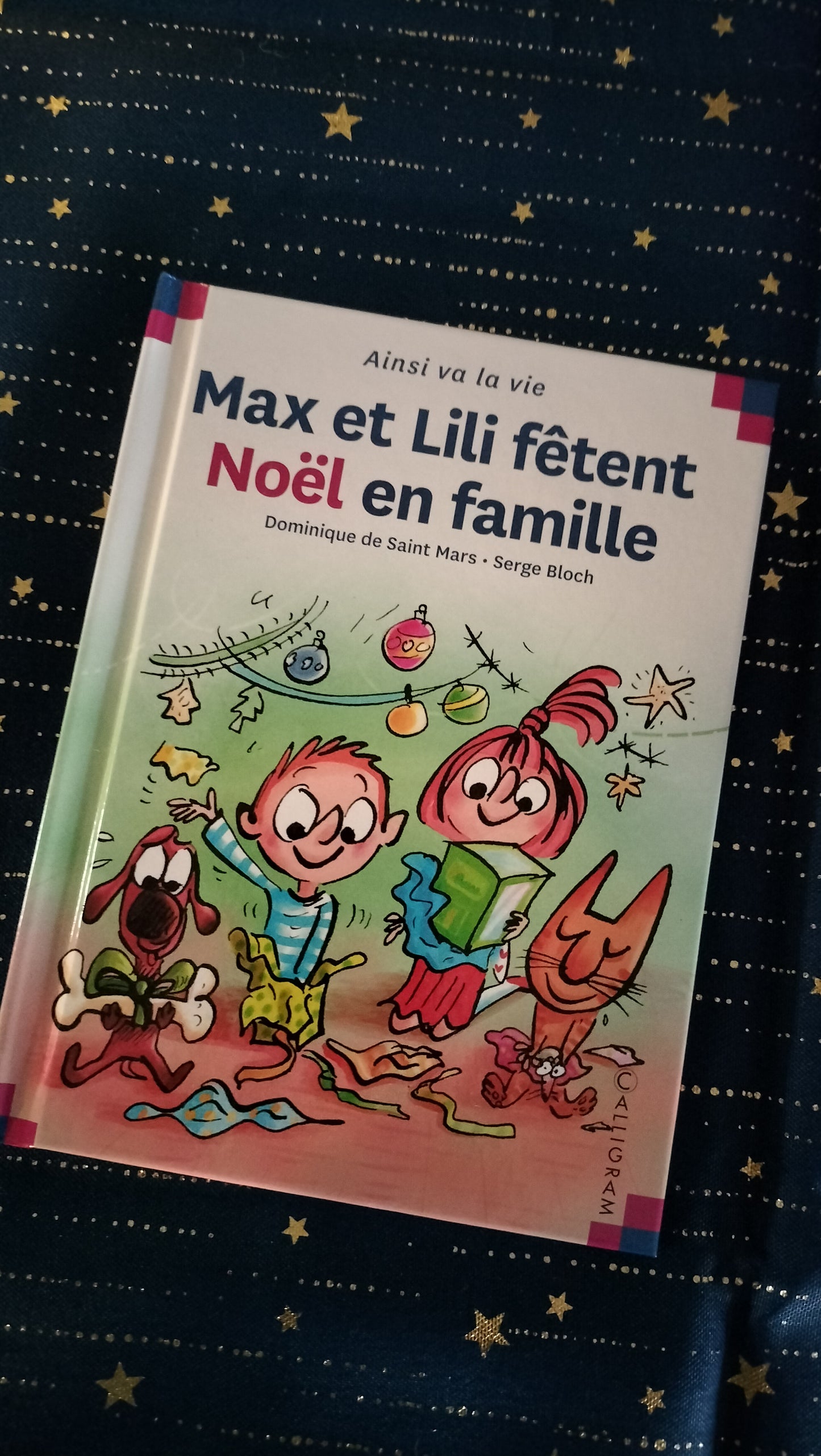 Max et Lili fêtent Noël en famille